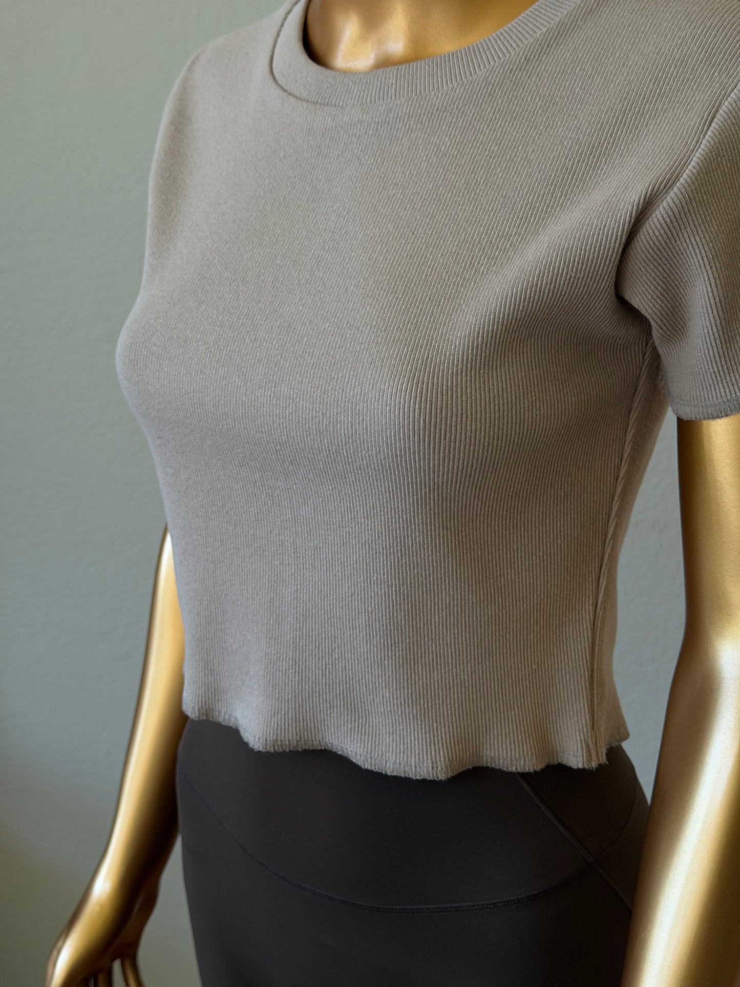 🌼 Women's T-Shirt in Premium Stretch
Rib Knit